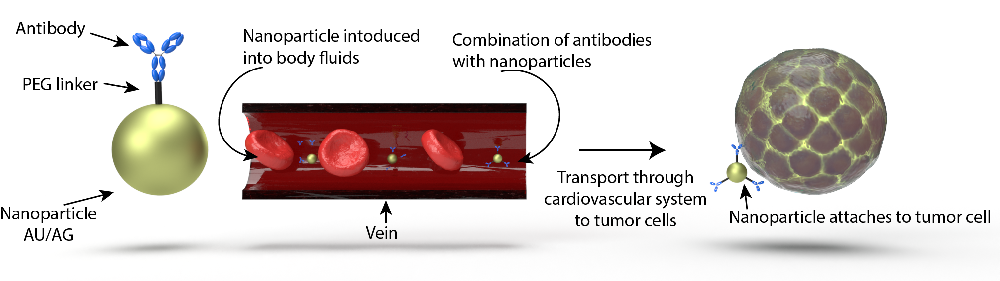 cancer_detection