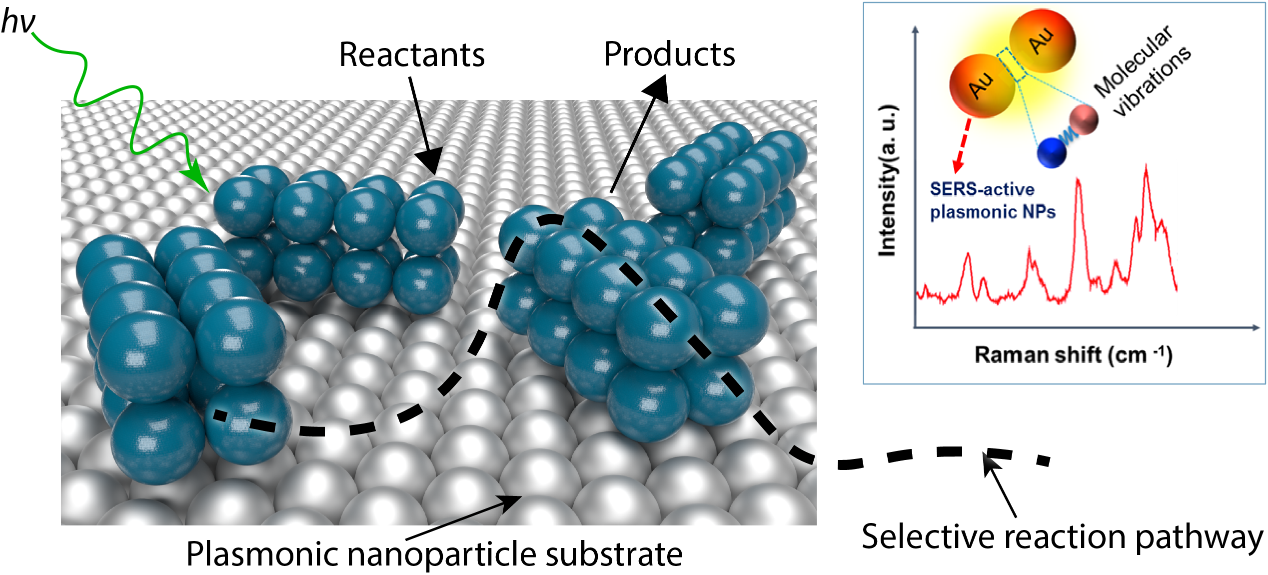catalytic_NP